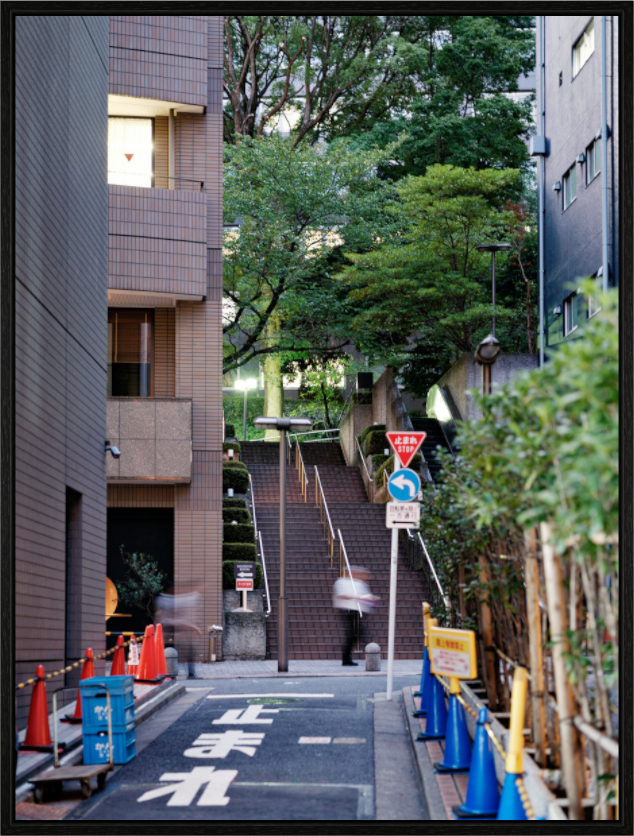 Main image Path VIII